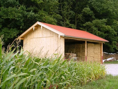 Landwirtschaftlicher Holz-Stadel mit Ziegeldach am Maisfeld